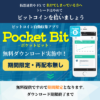 Pocket Bit