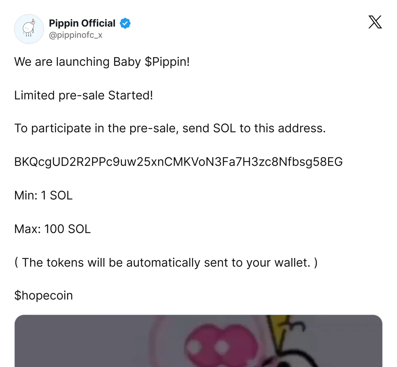 PIPPIN公式Xアカウントのプレセール開始告知