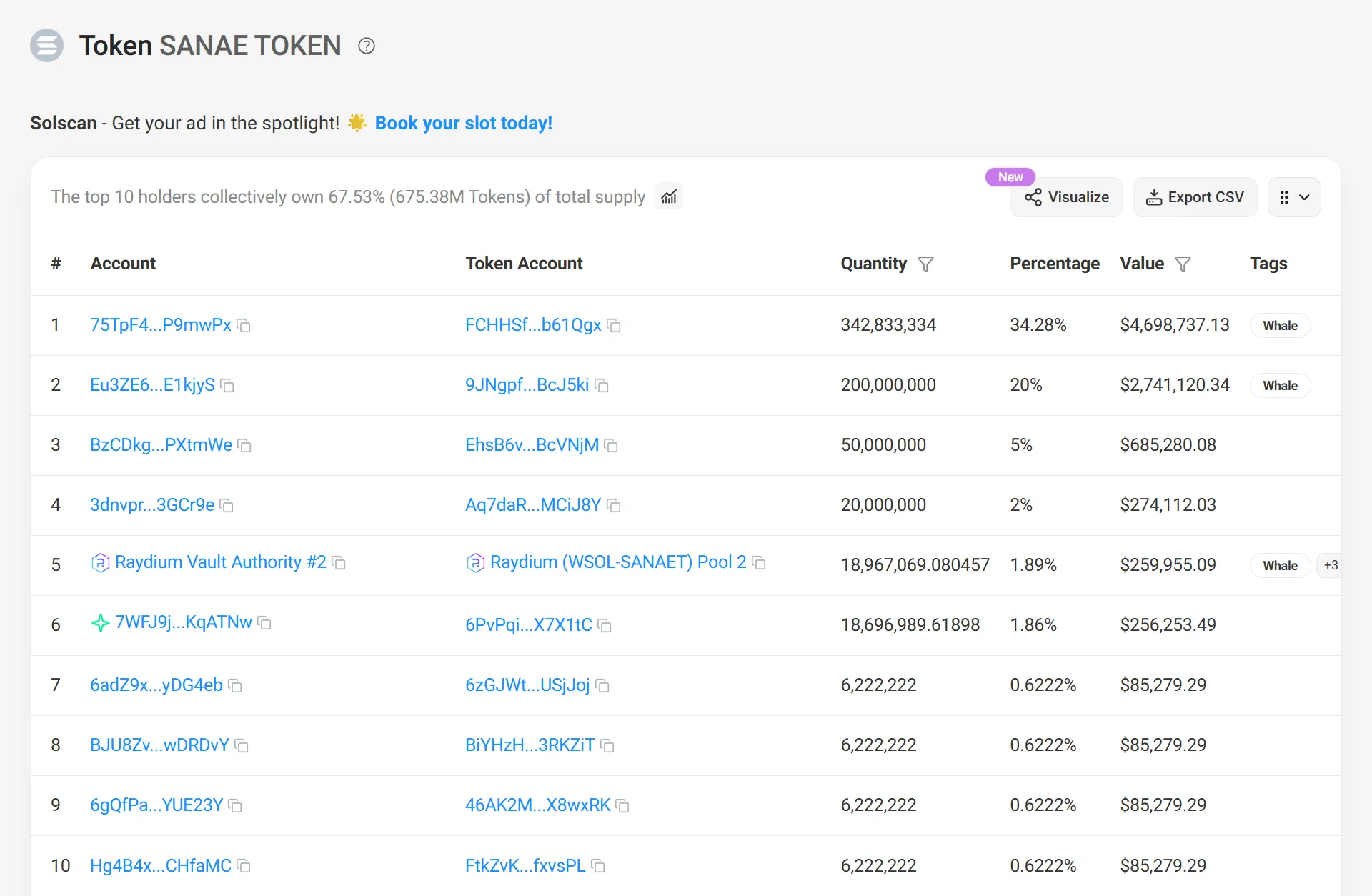 サナエトークンの上位ホルダーのリスト